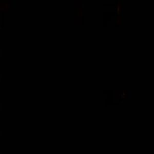 Meet your Posher, Ricky